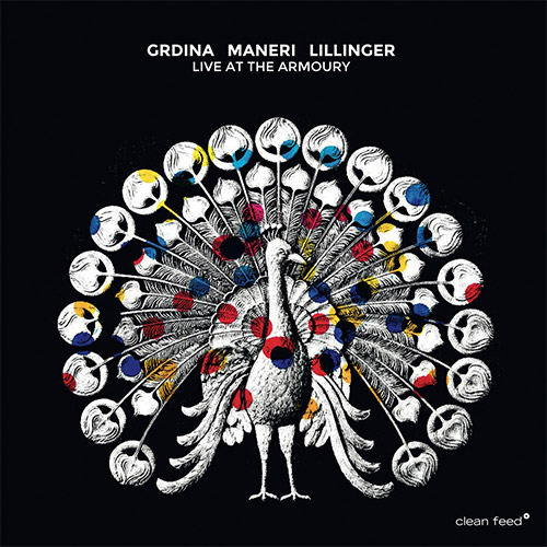 Grdina, Gordon / Mat Maneri / Christian Lillinger: Live at the Armoury (Clean Feed)