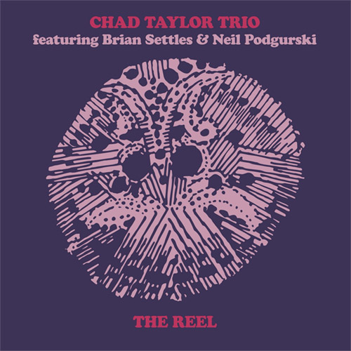 Taylor, Chad Trio (feat. Brian Settles / Neil Podgurski): The Reel (Astral Spirits)