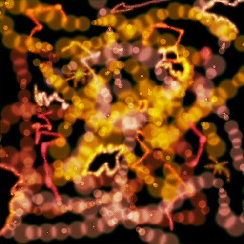 Zuckerman, Adam: STARPERMEABLE (Nueni)