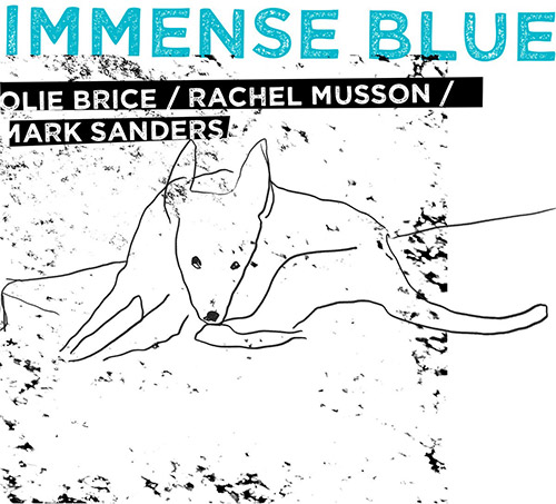 Brice, Olie / Rachel Musson / Mark Sanders: Immense Blue (West Hill Records)