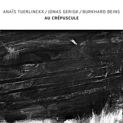 Tuerlinckx, Anais / Jonas Gerigk / Burkhard Beins: Au Crepuscle (Confront)