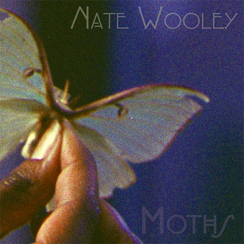 Wooley, Nate: Moths (Editions Verde)