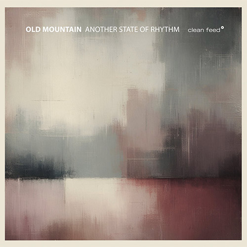 Old Mountain (feat Tony Malaby): Another State of Rhythm (Clean Feed)