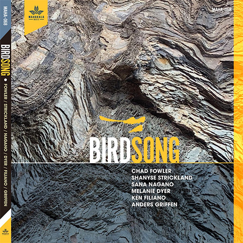 Fowler, Chad / Shanyse Strickland / Sana Nagano / Melanie Dyer / Ken Filiano / Anders Griffen: Birds (Mahakala Music)