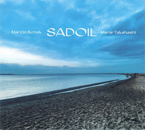 Bozek / Takahashi: SADOIL (Creative Sources)