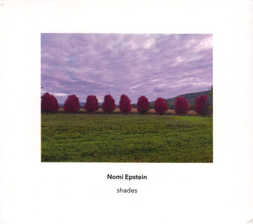 Epstein, Nomi: Shades (Another Timbre)