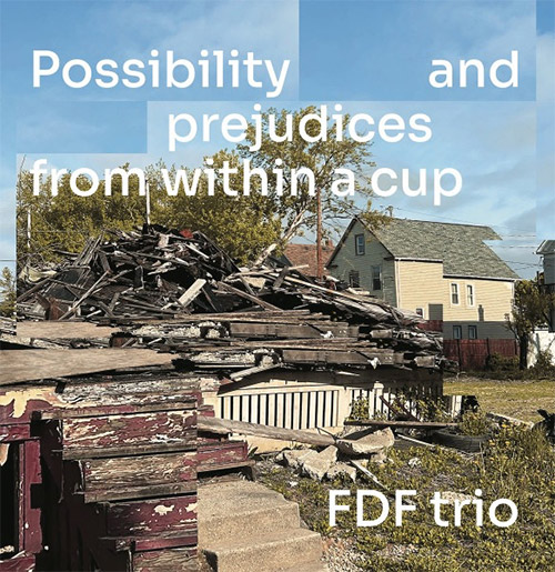 FDF Trio: Possibility And Prejudices From Within A Cup [VINYL] (Konnekt)