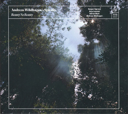 Wildhagen's, Andreas Spiralis : Beauty No Beauty (Nakama Records)
