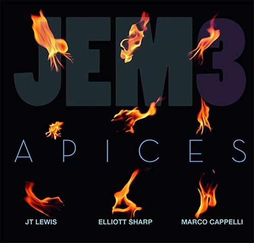 JEM3 (JT Lewis / Elliott Sharp / Marco Cappelli): Apices (Klanggalerie) JEM3 (JT Lewis / Elliott Sharp / Marco Cappelli): Apices (Klanggalerie)