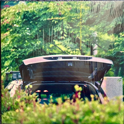 Shibashi, Eiko / Jim O' Rourke: Pareidolia [VINYL] (Drag City)