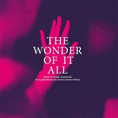 Zuydervelt, Rutger: The Wonder Of It All (Machinefabriek)