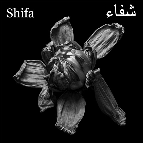 Shifa (Musson / Thomas / Sanders): Ecliptic (Discus)