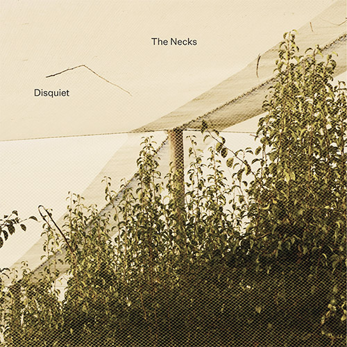 Necks, The: Disquiet [3 CDs] (Northern Spy)
