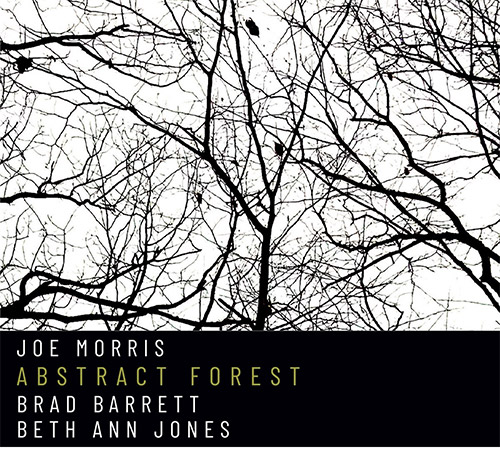 Morris, Joe / Brad Barrett / Beth Ann Jones: Abstract Forest (Relative Pitch)