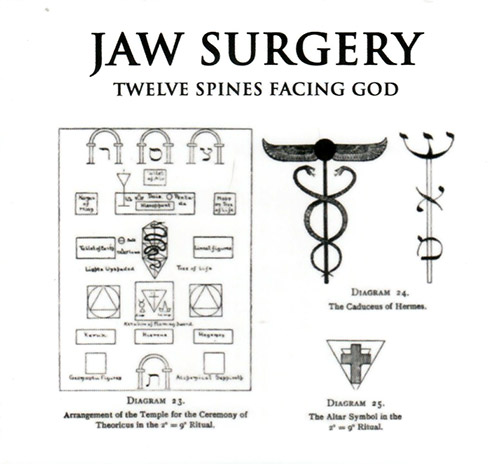 Jaw Surgery: Twelve Spines Facing God (Love Earth Music)