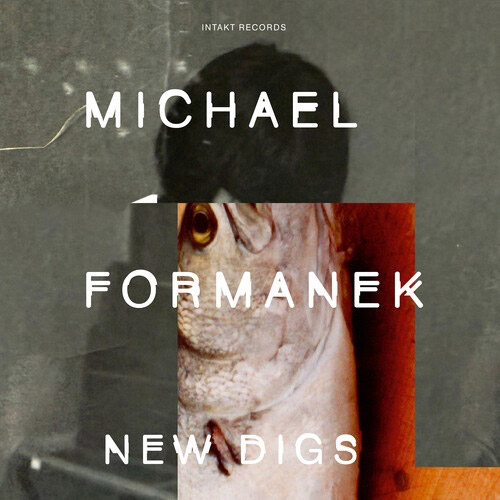 Formanek, Michael (w/ Hawkins / Halvorson / Fujiwara / O'Gallagher / Doxas / Almeida): New Digs (Intakt) Formanek, Michael (w/ Hawkins / Halvorson / Fujiwara / O'Gallagher / Doxas / Almeida): New Digs (Intakt)