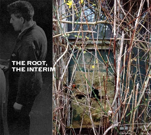 Lacey, David: The Root, The Interim (Krim Kram) Lacey, David: The Root, The Interim (Krim Kram)