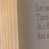AMM (Prevost / Rowe / Tilbury): Tunes Without Measure or End (Matchless) AMM (Prevost / Rowe / Tilbury): Tunes Without Measure or End (Matchless)