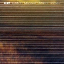 Davies / Hayward / Eckhardt / Capece: Amber (Creative Sources)