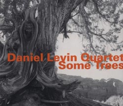 Levin, Daniel Quartet: Some Trees