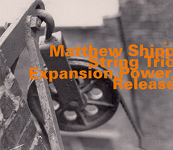 Shipp, Matthew String Trio (w/ Mat Maneri / William Parker): Expansion, Power, Release (Hatology)