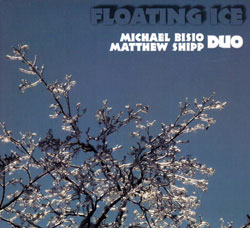 Bisio, Michael / Matt Shipp Duo: Floating Ice (Relative Pitch)