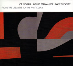 Joe Morris / Agusti Fernandez / Nate Wooley: From the Discrete to the Particular (Relative Pitch)