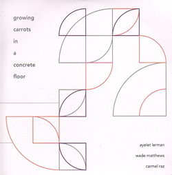 Lerman, Ayelet / Wade Matthews / Carmel Raz: Growing Carrots in a Concrete Floor (Aural Terrains)