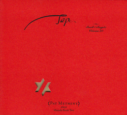 Metheny, Pat: Tap: The Book Of Angels Vol. 20 (Tzadik)