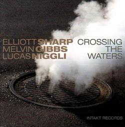 Sharp / Gibbs / Niggli: Crossing The Waters (Intakt)