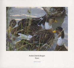 Anders Dahl & Skogen: Rows (Another Timbre)