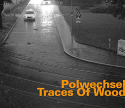 Polwechsel: Traces of Wood (hatOLOGY)