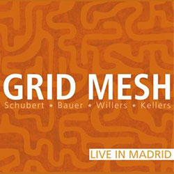 Grid Mesh: Live In Madrid