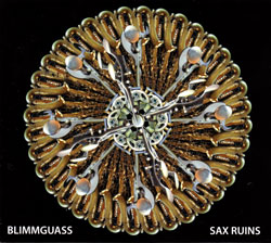 Sax Ruins: Blimmguass [JAPANESE EDITION]