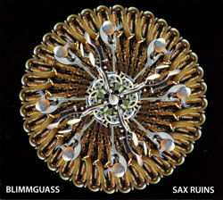 Sax Ruins: Blimmguass [JAPANESE EDITION] (Magaibutsu)