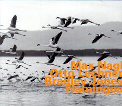 Nagl, Max / Otto Lechner / Bradley Jones: Flamingos (Hatology)