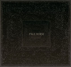 Cymerman, Jeremiah  / Christopher Hoffmann / Brian Chase: Pale Horse (5049 Records)