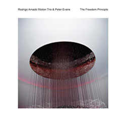 Amado, Rodrigo Motion Trio & Peter Evans: The Freedom Principle (NoBusiness)