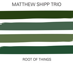 Shipp, Matthew Trio: Root Of Things (Relative Pitch)