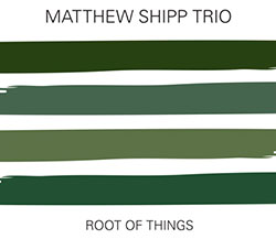 Matthew Shipp Trio: The Root of Things (Relative Pitch)