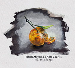 Tetuzi Akiyama & Anla Courtis: Naranja Songs (Public Eyesore)