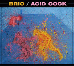 Brio: Acid Cock (Long Song Records)