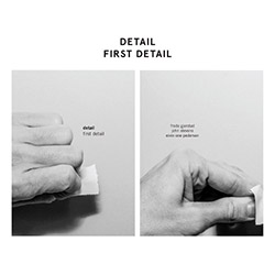 Detail: Stevens / Pedersen / Gjerstad: First Detail [VINYL + CD]