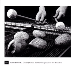 Reinhold Friedl: Golden Quinces, Earthed for spatialized Neo-Bechstein (Bocian Records)