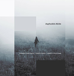 Chrysakis, Thanos / Chris Cundy / James O'Sullivan: Asphodels Abide (Aural Terrains)