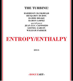 The Turbine! (Bankhead / Duboc / Drake / Lopez + guests): Entropy/Enthalpy [2 CDs] (RogueArt)