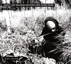 Jungle: Mat Walerian / Matthew Shipp / Hamid Drake: Live at Okuden [2 CDs]