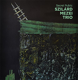 Szilard Mezei Trio: Secret Public (Aural Terrains)