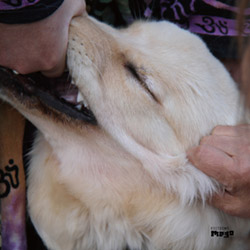 Christian Fennesz, Christian / Jim O'Rourke: It's Hard For Me To Say I'm Sorry [VINYL] (Editions Mego)