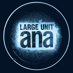 Large Unit: Ana